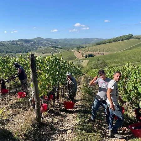 Fattoria Poggerino-2
